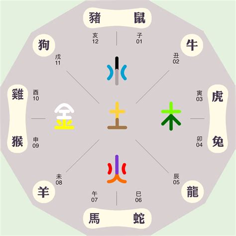 天干地支属性|八字天干地支五行属性是什么？八字天干地支由来及含义详解